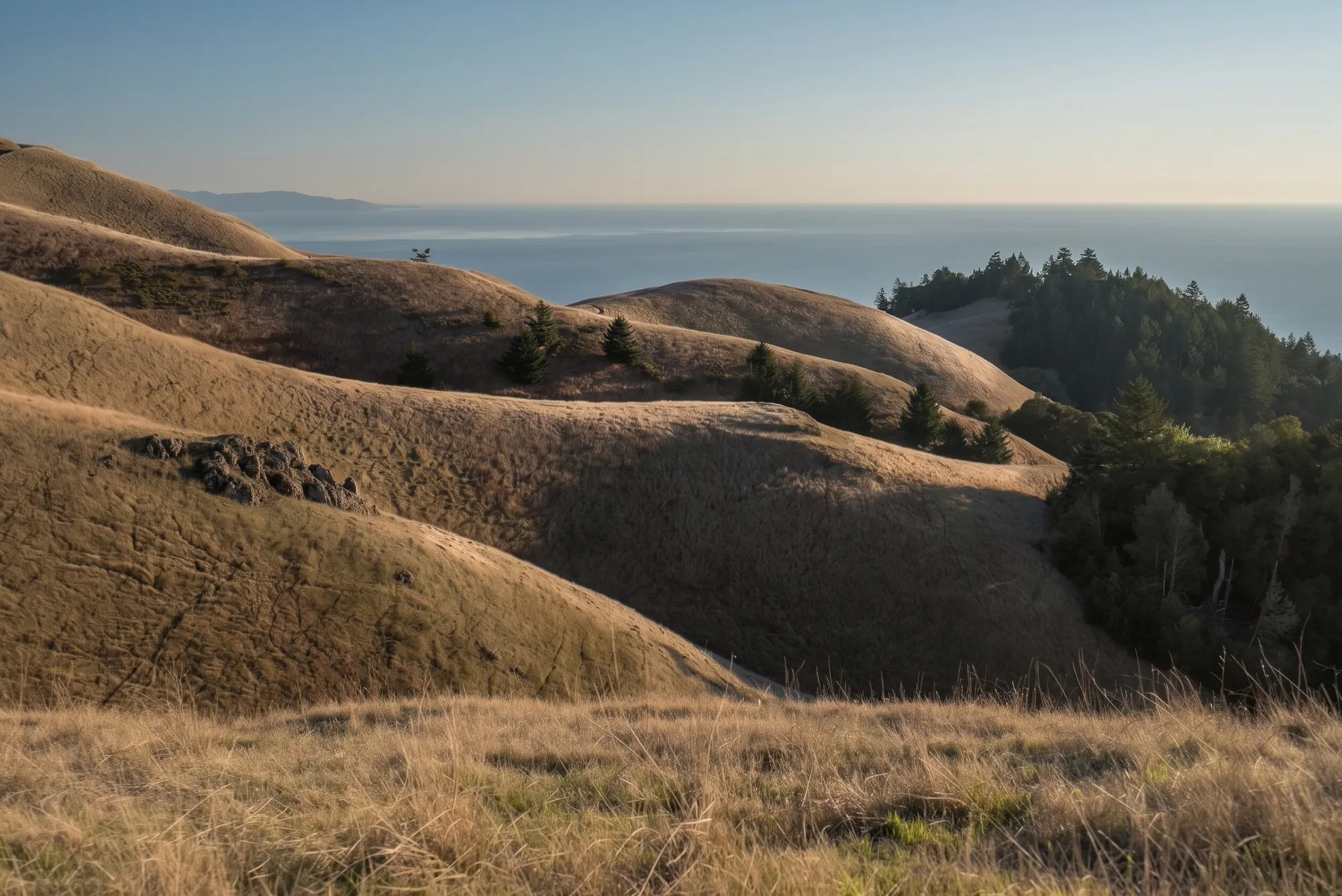 The golden hills of Mount Tamalpais rolling down toward the Pacific in late afternoon light.