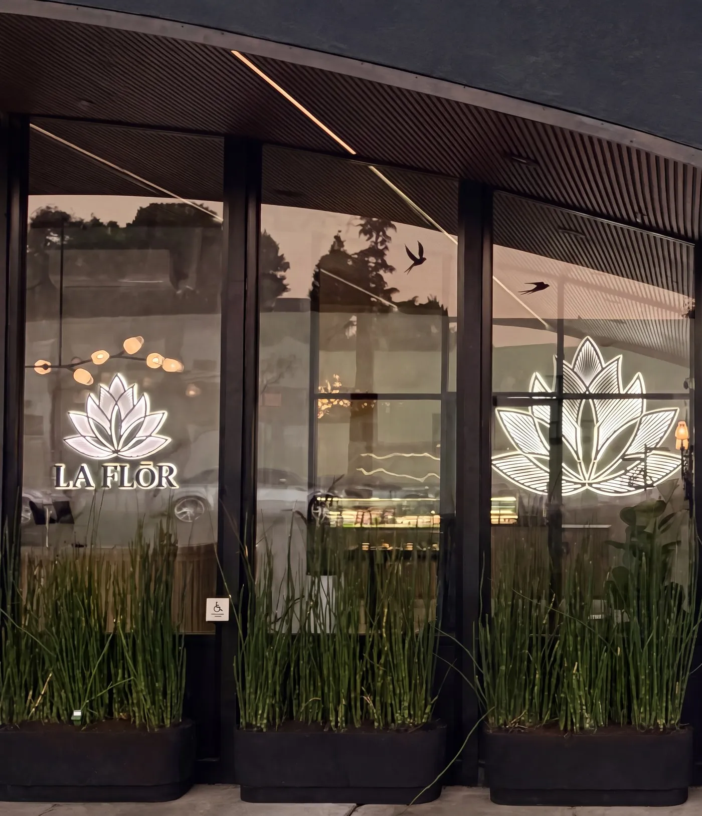 La Flōr at dusk: the lit lotus in the front windows on Sir Francis Drake Boulevard.